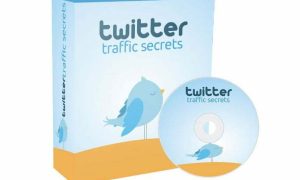 Twitter Traffic Secrets